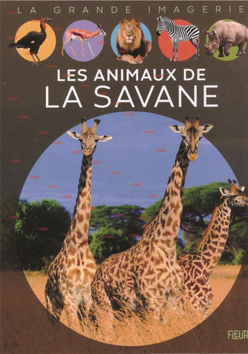 Picture of La Grande Imagerie Les Animaux De La Savane