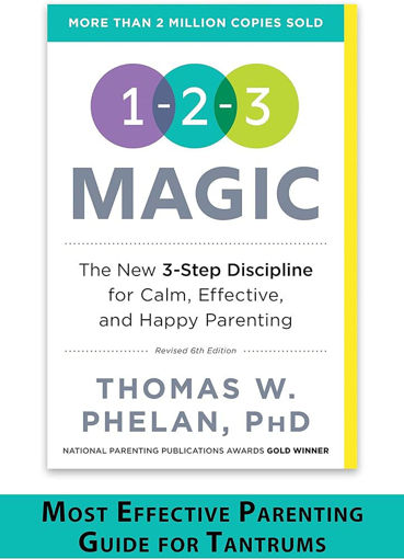 Picture of 123 Magic Effective Discipline For children