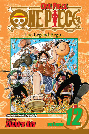 Picture of one piece n12