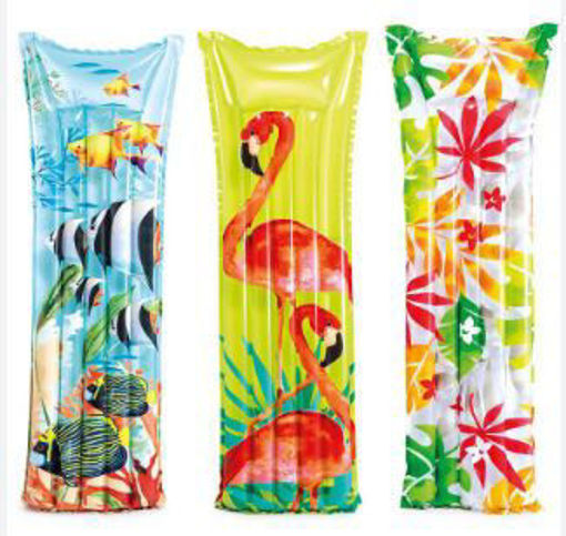 Picture of Lounge Float 1.83mx69cm Assorted Intex