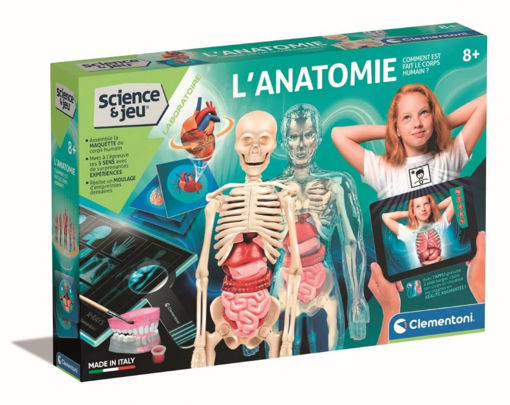 Picture of (CLEMENTONI) L'anatomie - corps humain