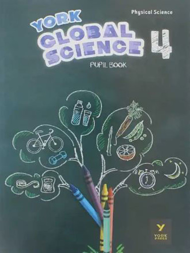 Picture of York Global Physical Science BK 4 York Press