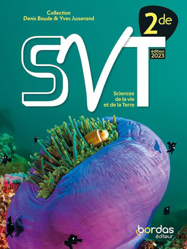 Picture of SVT 2ND Manuel Bordas 2024