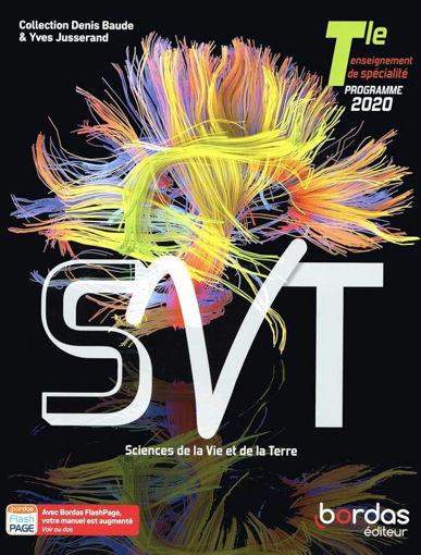 Picture of SVT Term Coll Denis Baude bordas 2020