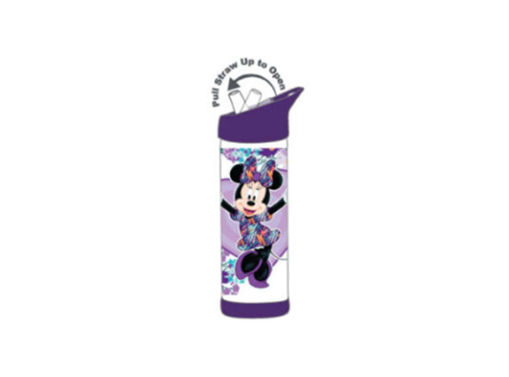 Picture of Water Bottle Plastic 500ml Disney Girls Sunce