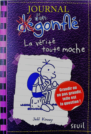Picture of Journal D'un Dégonflé, La Verite Toute Moche