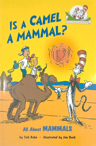 Picture of Cat In The Hat, Is A Camel A Mammal