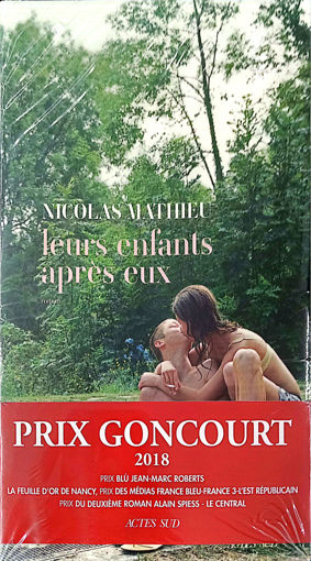 Picture of ACTES SUD - LEURS ENFANTS APRES EUX - MATHIEU NICO