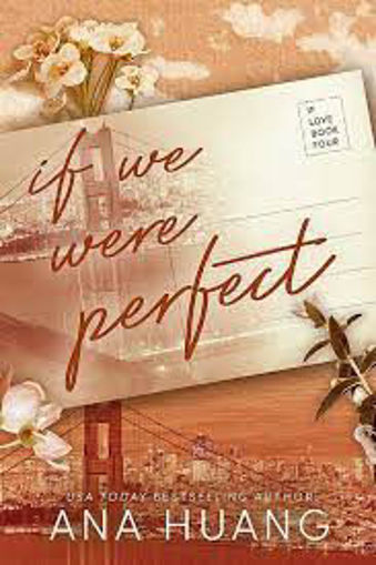 Picture of If we were perfect PIATKUS