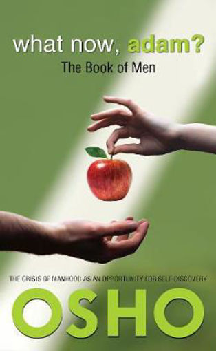 Picture of What Now, Adam?: The Book of Men