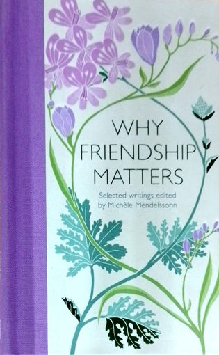 Picture of Why friendship matters by Michele Mendellsohn