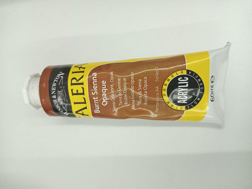 Picture of Acrylic 60ml Burnt Sienna Opaque Winsor&Newton Gal