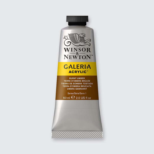 Picture of Acrylic 60ml Burnt Umber Winsor&Newton Galeria