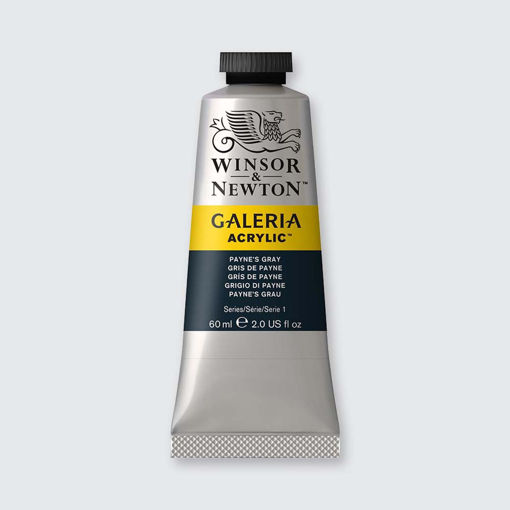 Picture of Acrylic 60ml Payne's Grey Winsor&Newton Galeria