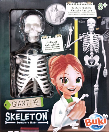 Picture of Activity Game Age 8+ Buki, Skeleton 45cm
