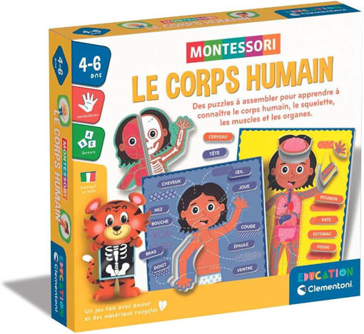 Picture of Activity Game Age4-6 Human Body Clementoni