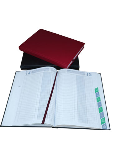 Picture of Daily Diary 2025 Bassile