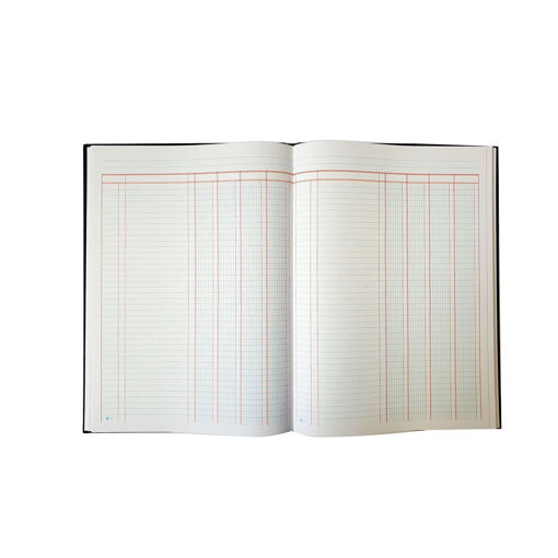 Picture of Analysis Book A3 100 Sheets 4 Columns Bassile