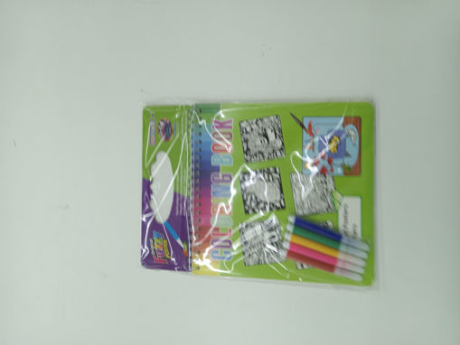 Picture of Article to color +Felt Pen DIY