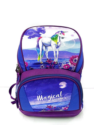 Picture of Backpack Large Discounted Girls Spirit