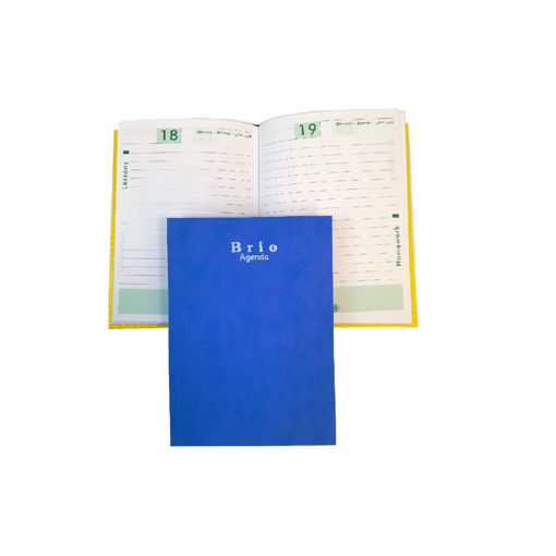 Picture of School Agenda 12x17cm 60gr Hard Cover Brio