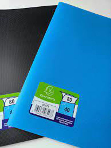 Picture of Clear book A4 40pockets Exacompta