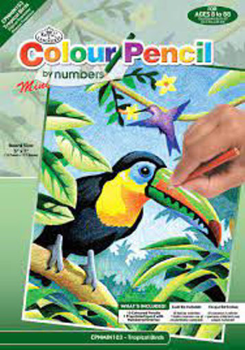 Picture of Coloring By Number 8+ Mini Royal&Langnickel
