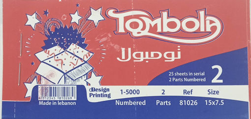 Picture of Tombola 25 Sheets 2 Parts Numbered