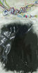 Picture of Feathers Black 20pcs Craft for all