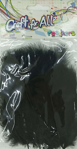 Picture of Feathers Black 20pcs Craft for all