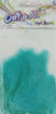 Picture of Feathers Mint Green 20pcs Craft for all