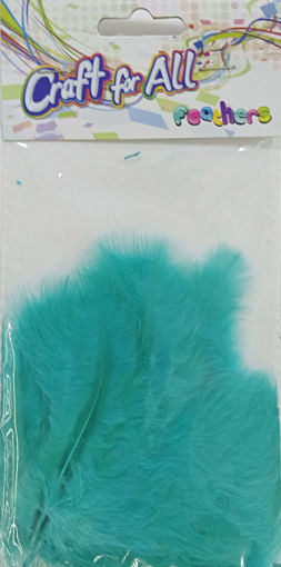 Picture of Feathers Mint Green 20pcs Craft for all