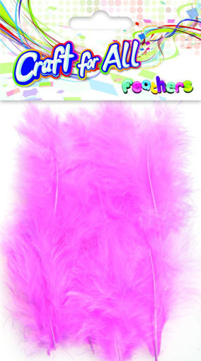 Picture of Feathers Pink 20pcs Craft for all
