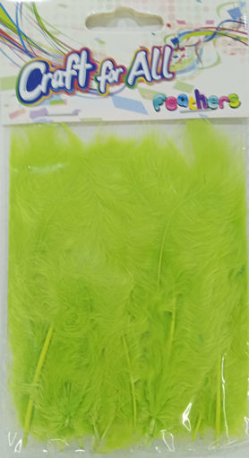 Picture of Feathers Pistache 20pcs Craft for all