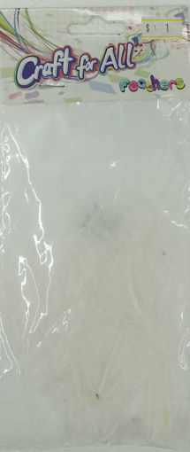 Picture of Feathers White 20pcs Craft for all