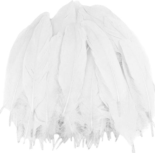 Picture of Feathers White Hand Craft