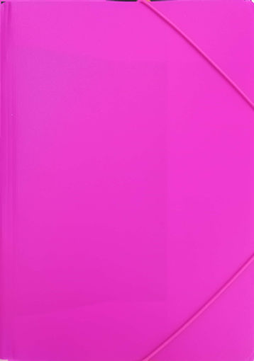 Picture of File plastic avec elastic fluo rose  40536