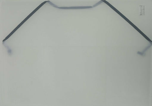 Picture of Elastic File A4 Transparent Plastic Tip Top