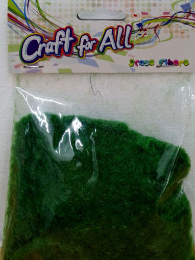 Picture of Grass Fibers 20gr Craft for all