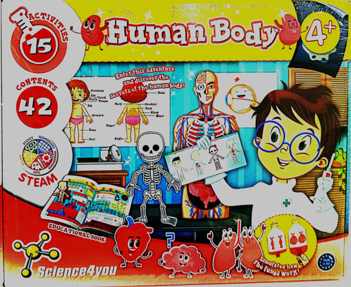 Picture of Educational Game Age 4+ Human Body Steam