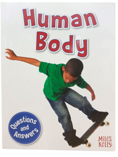Picture of Human Body Questions and Answers Miles Kelly