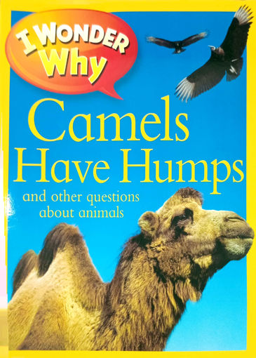 Picture of I wonder why Camels have humps