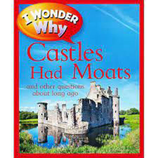 Picture of I Wonder why castles had moats
