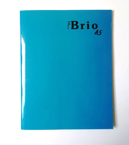 Picture of Index A5/48 Sheets 70gr Vocabulary English Brio