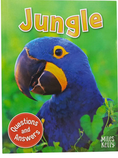 Picture of Jungle Questions and Answers Miles Kelly