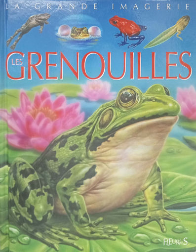 Picture of La Grande Imagerie  Les Grenouilles