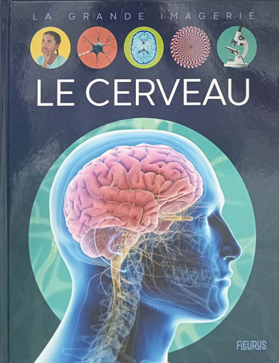 Picture of le cerveau