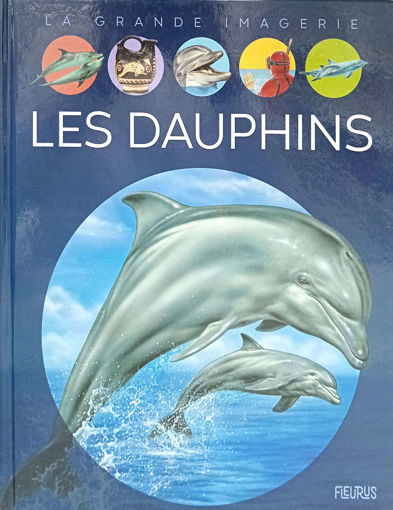 Picture of les dauphins