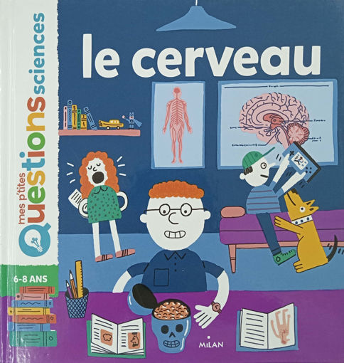 Picture of Mes premiers questions sciences Le cerveau Milan