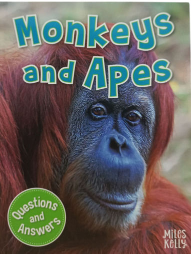 Picture of Monkeys and Apes Questions and Answers Miles Kelly